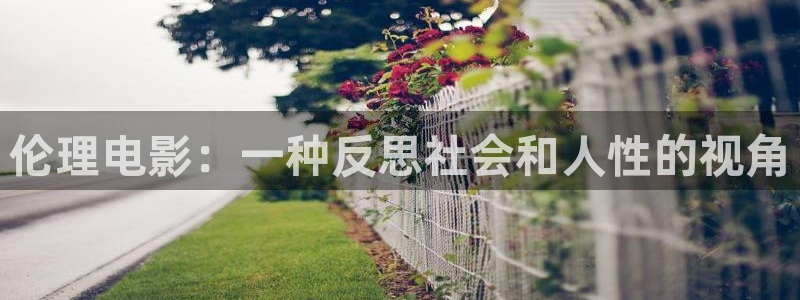 久久久动漫精品：伦理电影：一种反思社会和人性的视角